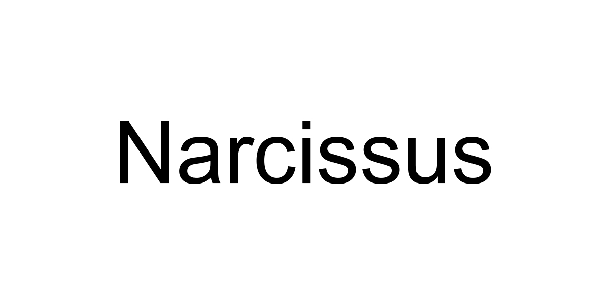 Narcissus [ナルシス] WEB STORE｜ハイブランド取り扱い多数